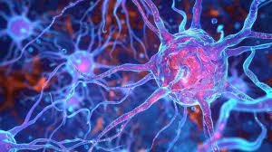 Nerve or blood vessel damage