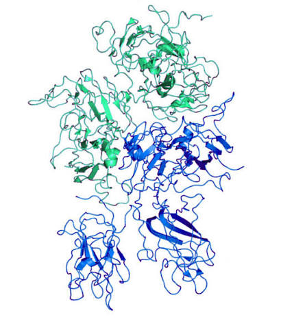 Emicizumab